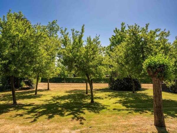 photo 89 Kerkedijk 142