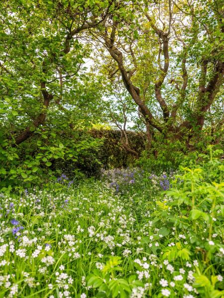 photo 46 Elzenlaan 30