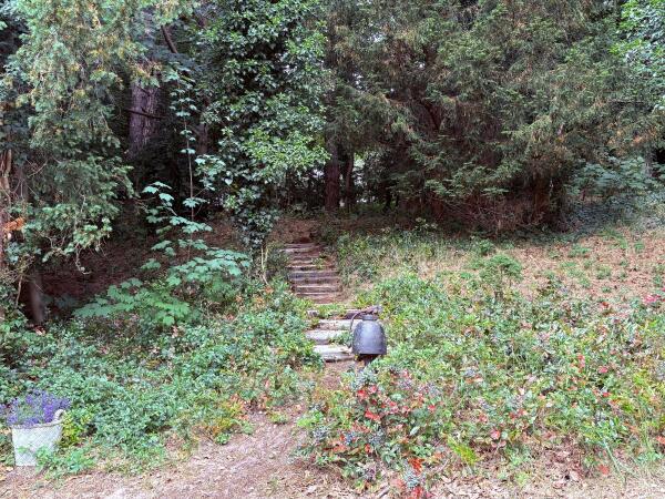 photo 49 Midden Duin en Daalseweg 30