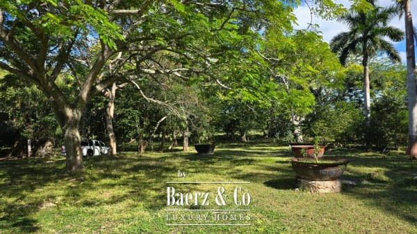 photo 7 Tablaje 3710 Rancho San Roman y Tablaje 1939 Rancho San Jose 