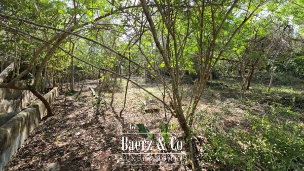 photo 19 Sagrado - Valladolid 