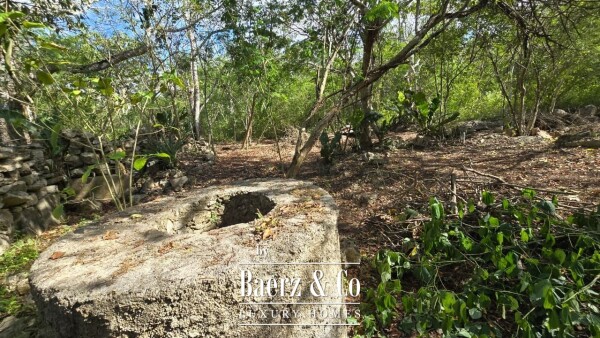 photo 27 Sagrado - Valladolid 