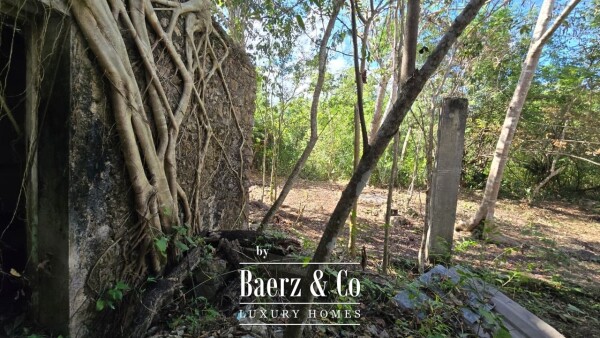 photo 30 Sagrado - Valladolid 