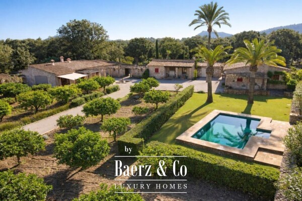 photo 1 Exclusive Wine Estate with Bodega, Olive Grove and 10 Hectares of Private Forest