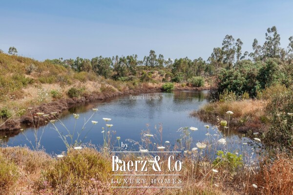 photo 20 Beautiful luxury home in Serpa (salvador e Santa Maria)