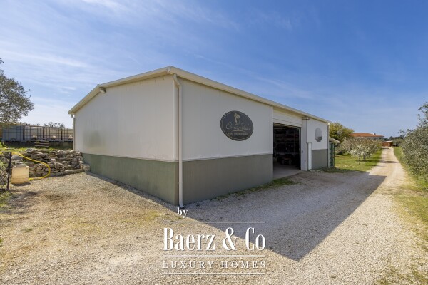 photo 25 Exclusive 12-Ha Olive Estate with Sea Views and Premium Golf Lifestyle in Savudrija, Istria